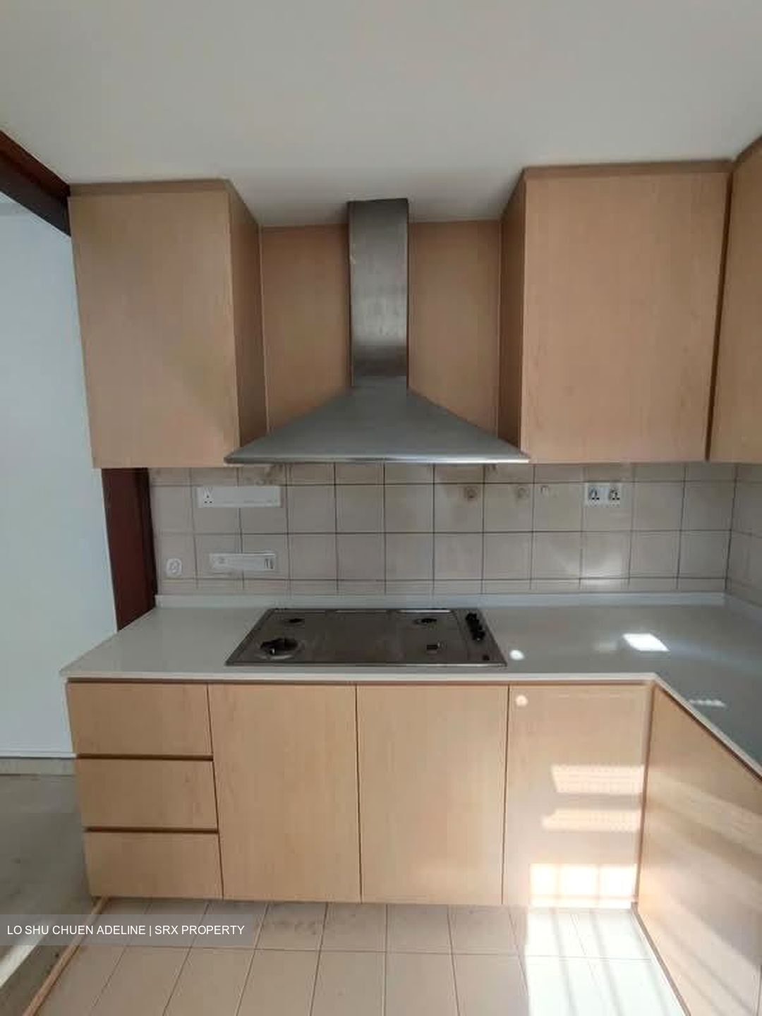 Carissa Park Condominium (D17), Condominium #573030441